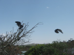 The Great 3 Safari (Uganda-Kenya-Tanzania)